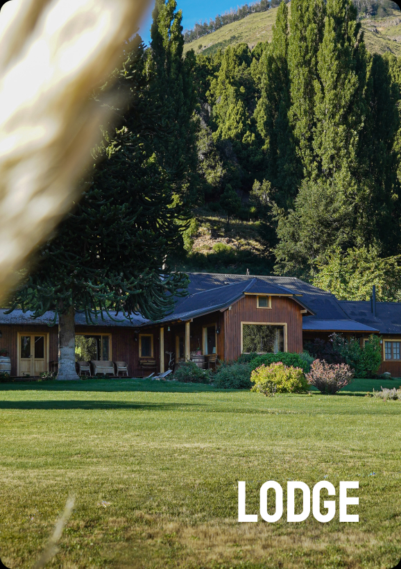 Lodge exterior framed by trees and lawn