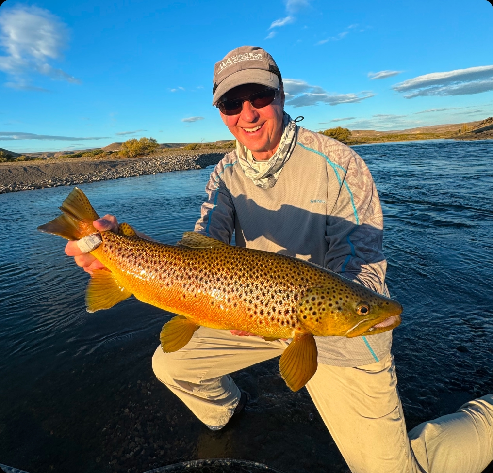 Angler holding a golden-flanked brown trout